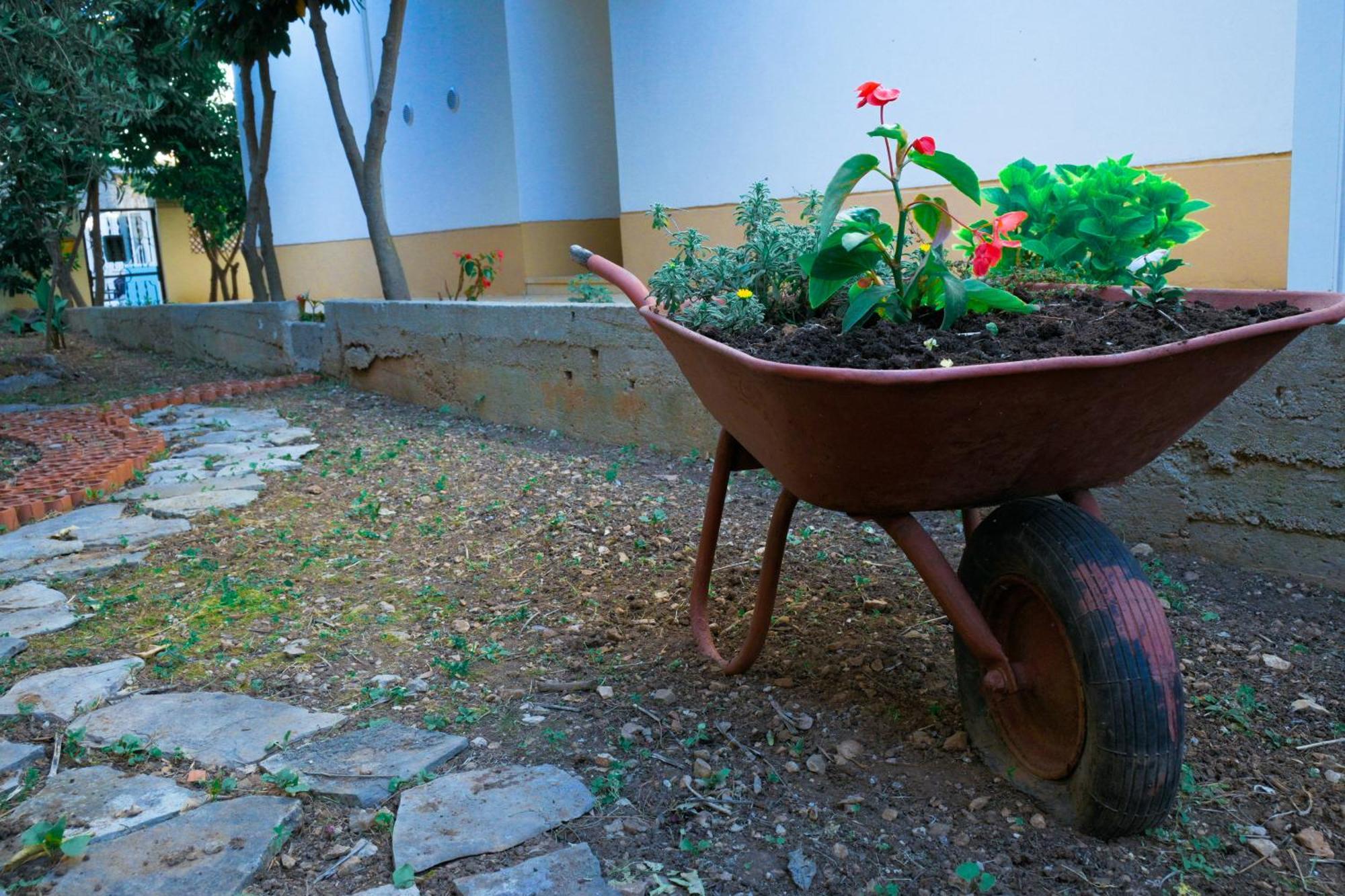 B&B Aurora Jelsa  Dış mekan fotoğraf